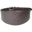 Ace Traditional Leather Dog Collar  (Brown)